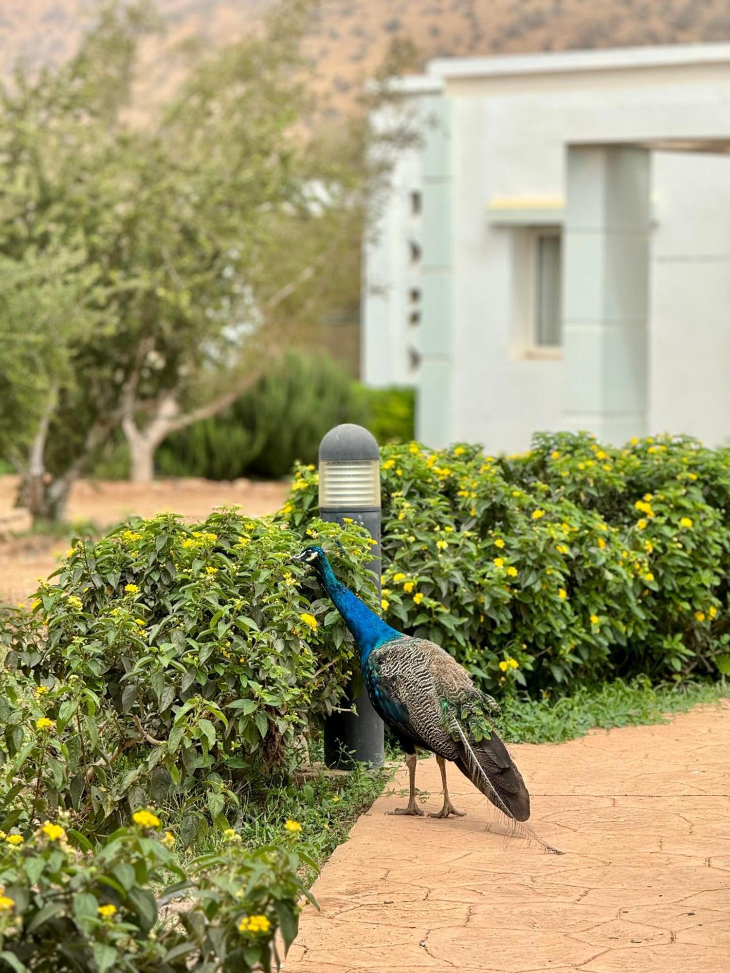 Lunja Village - Agadir Imi Ouaddar Kültér fotó